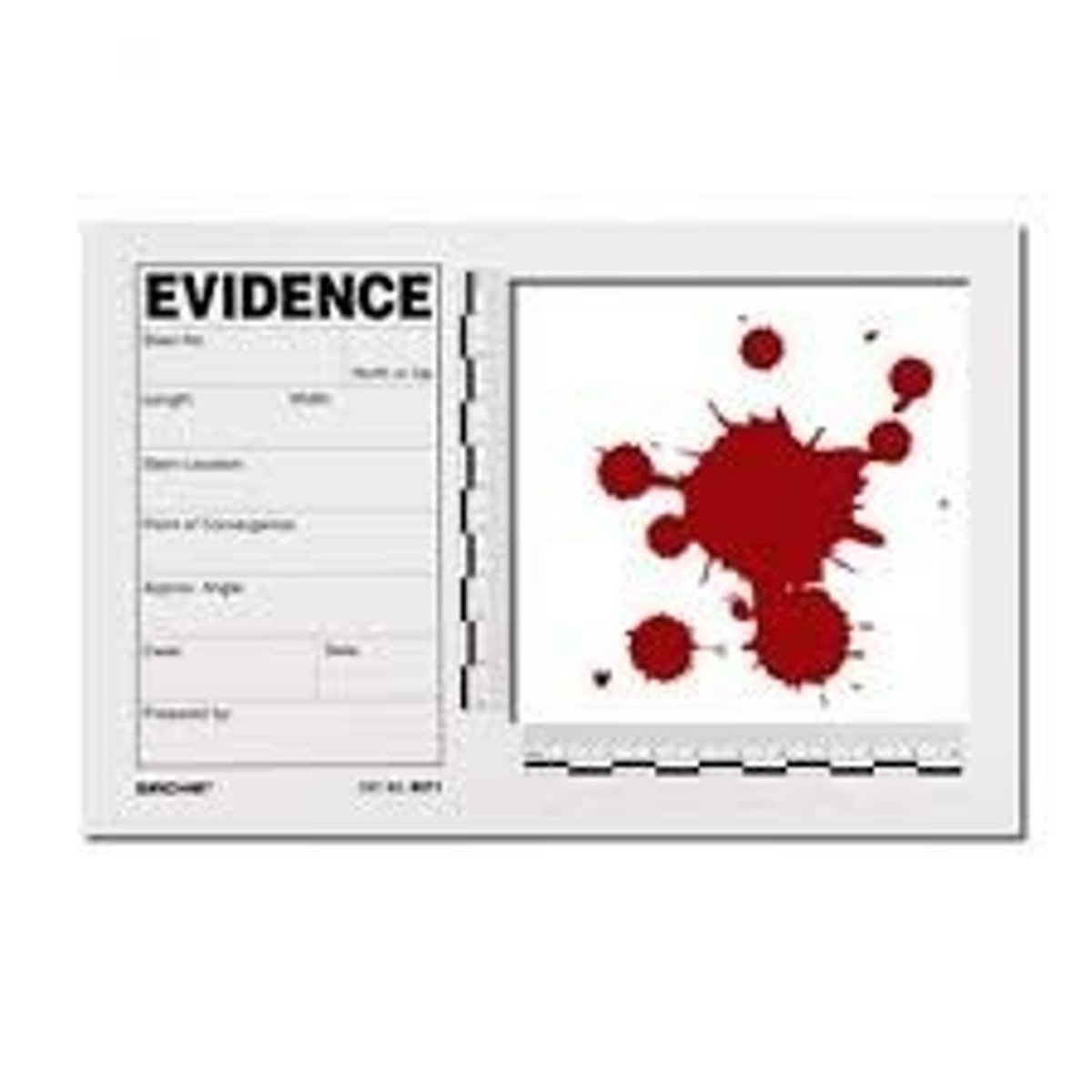 <p>Father of Bloodstain Identification</p>