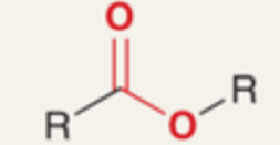 <p>Carboxylic acid derivative where the –OH of the carboxyl is replaced by an alkoxy group (R–CO–O–R).</p>