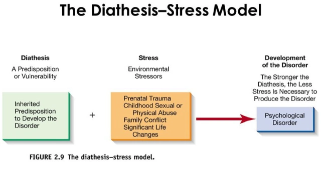<p><span>diathesis-stress model</span></p>