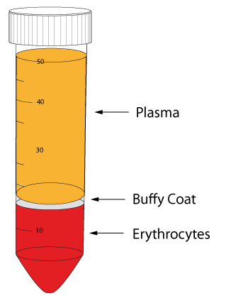 <p>leukocytes and plates </p><p>&lt;1% of whole blood</p>