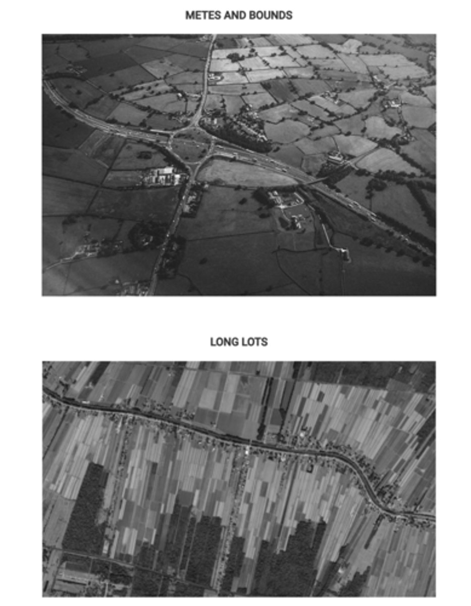 <p>The river in the long lot survey system provided better access to waterways to transport goods to market.</p>