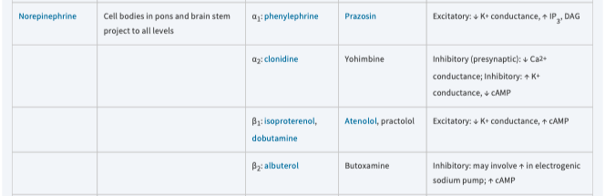 <p>Norepinephrine</p>