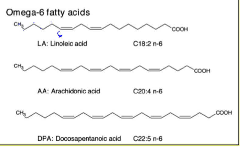 <p>means that first double bond is on the sixth carbon. it is an unsaturated cis fat so has many health benefits</p>