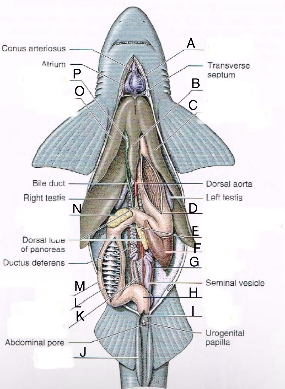 <p>What is A</p>