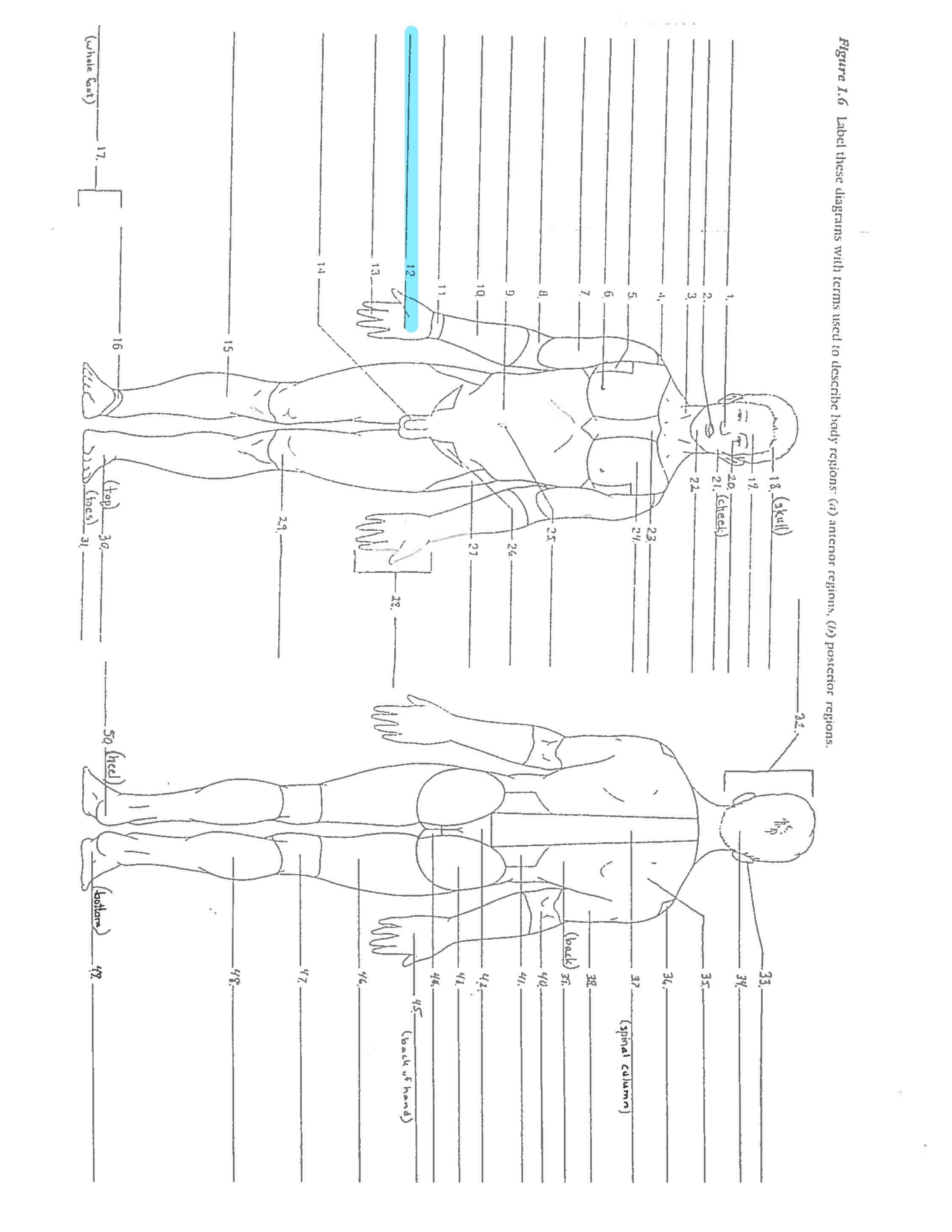 <p>Line 12 </p>