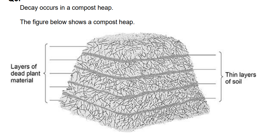 Describe:

• how microorganisms in the layers of soil help to recycle chemicals in the  dead plants 

• how the chemicals are used again by living plants