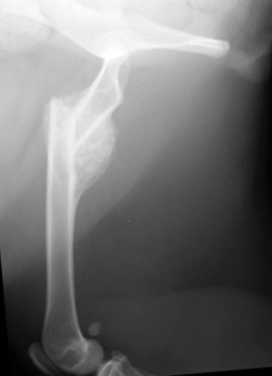 <p>What is this an example of?</p>