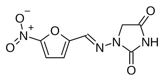 <p>What is this structure&nbsp;</p>