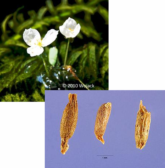 <p>WHO IS SHE?&nbsp;</p>