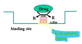 <p>planar &amp; hydrophobic = van der Waals interactions with hydrophobic regions of binding site</p>