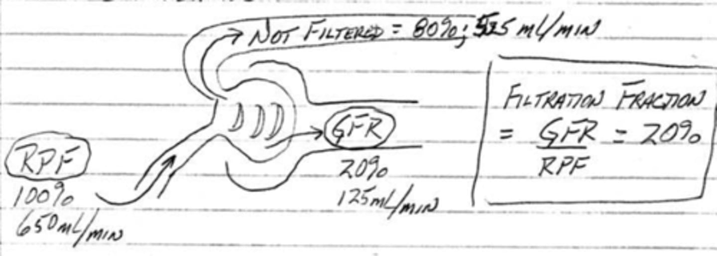 <p>percentage of total plasma volume that filters into the tubule; FF = GFR/RPF</p>