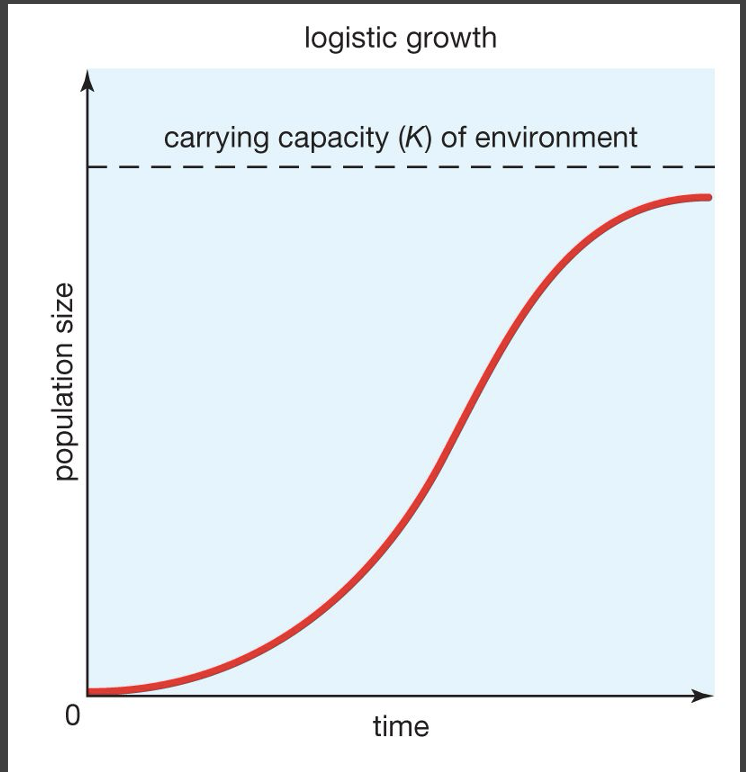<p>explain the logistic growth curve (s-shaped)</p>