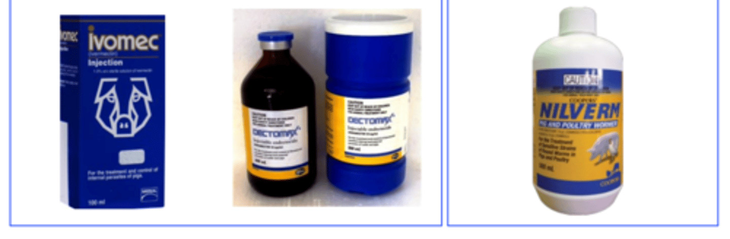 <p>• MLs (Ivermectin, Doramectin) &amp; Levamisole are effective chemicals;</p><p>Treatment of the sows with Ivermectin 3-16 days before parturition prevents transfer of the larvae via milk</p><p>Hygiene, cleaning the pens before farrowing</p>