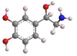 <p>norepinephrine</p>