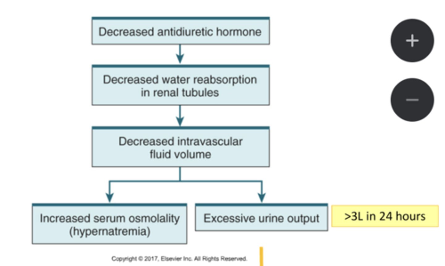 <p>-NOT enough ADH</p><p>-neurogenic: underproduction of ADH from hypothalamus or pituitary</p><p>-nephrogenic: renal tubules dont respond to ADH</p>