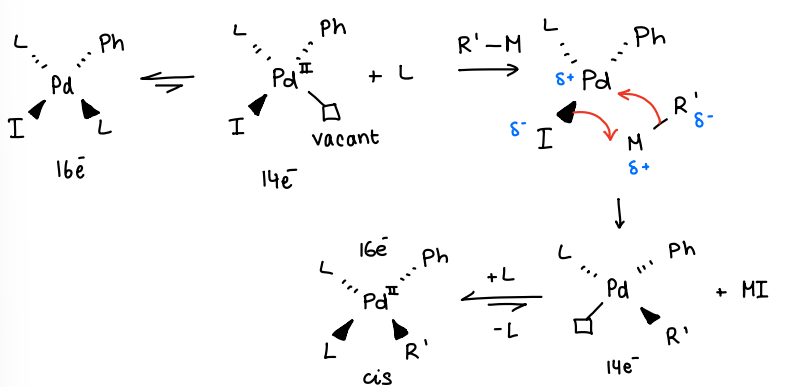 <ul><li><p>The active catalyst loses a ligand, forming a vacant site.</p></li><li><p>The transmetallating agent (R’-M) reacts with the Pd centre, forming a Pd-R’ bond and losing a M-I byproduct.</p></li><li><p>The loss of MI leaves another vacant site, the ligand then coordinates to give the product.</p></li></ul><p>There is no change in OS between intermediates.</p><p>The MI is a stable metal salt.</p><p></p>