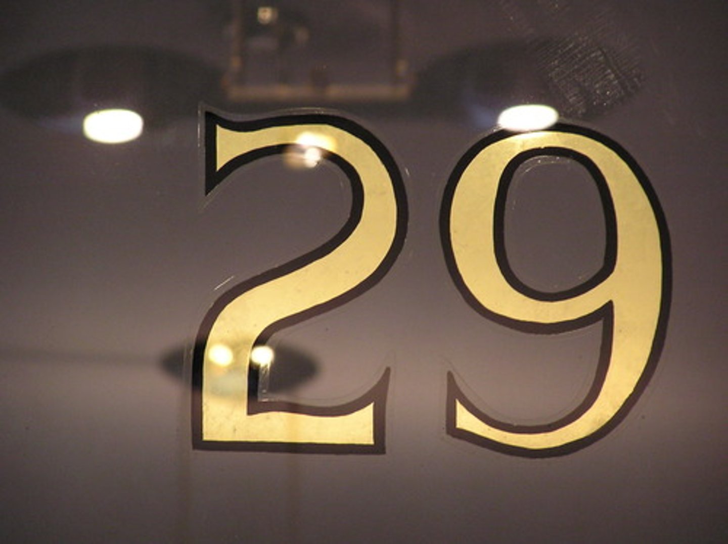<p>29</p>