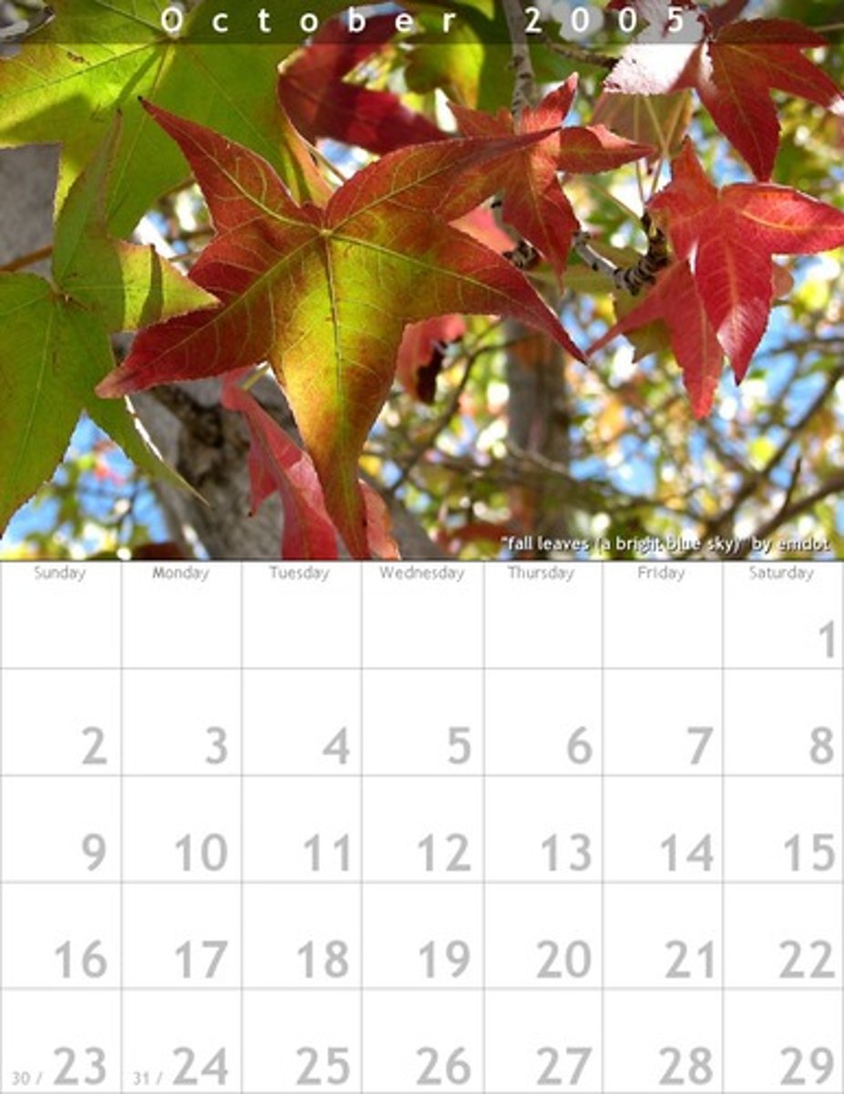<p>day</p>