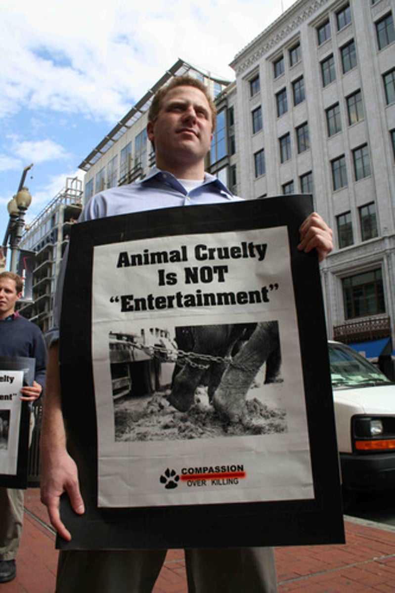 <p>Inherent rights of animals, opposing their use for food, research, or entertainment.</p>