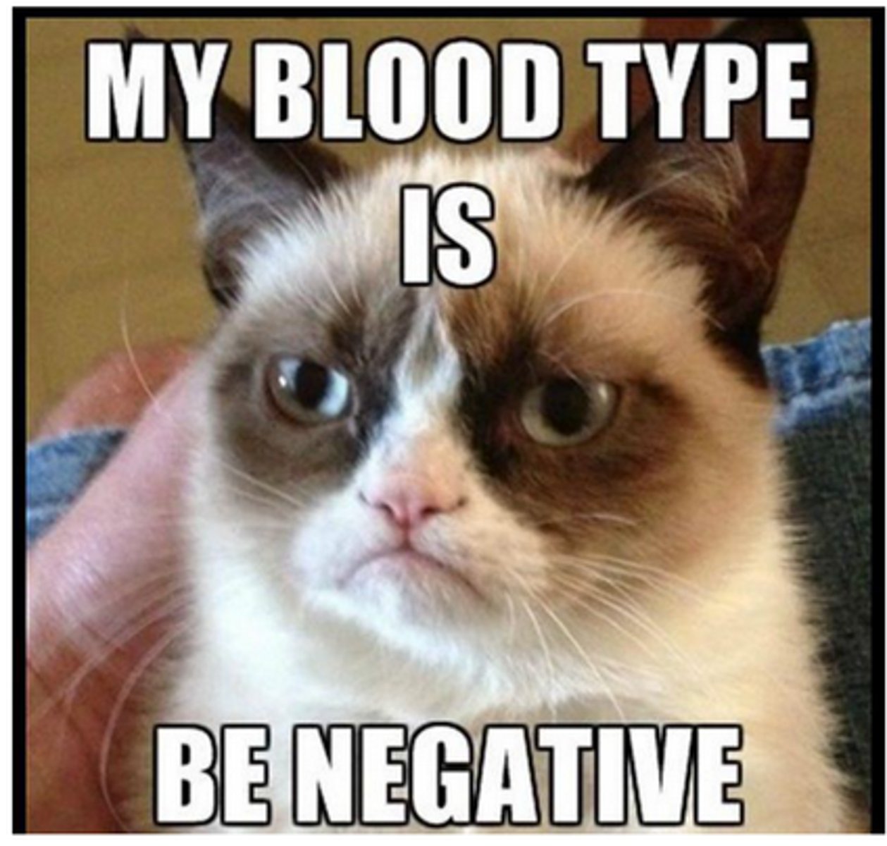 <p>A negatively charged ion</p>