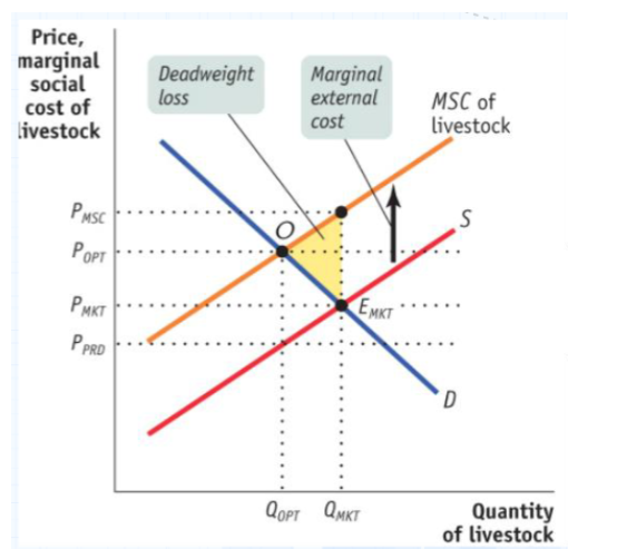 <p><span style="font-family: &quot;Times New Roman&quot;, serif">In addition, the equilibrium quantity is associated with a<strong> dead-weight loss</strong>. i.e. a loss in total surplus of which, many members of society are the victims.</span></p>