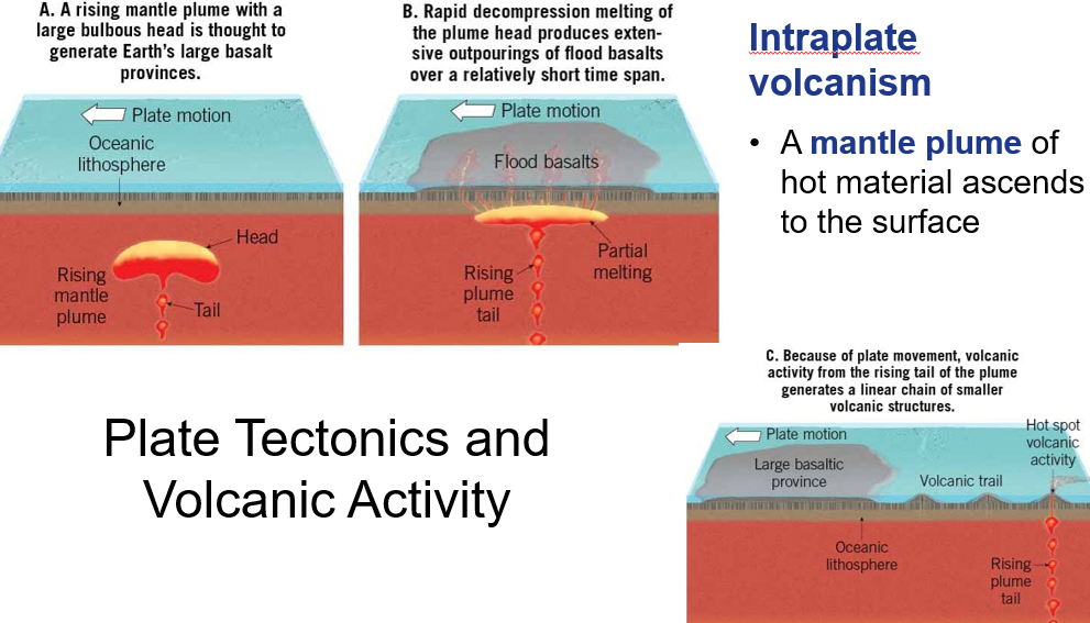 <p><strong><span>Intraplate volcanism</span></strong></p><p><span>•A </span><strong><span>mantle plume</span></strong><span> of hot material ascends to the surface</span></p><p><span>CN:</span></p><p><span>context of flood basalt→ to birth a new ocean: HOTSPOT swelled up, breaking creates normal breaking (pushing plates apart)</span></p>