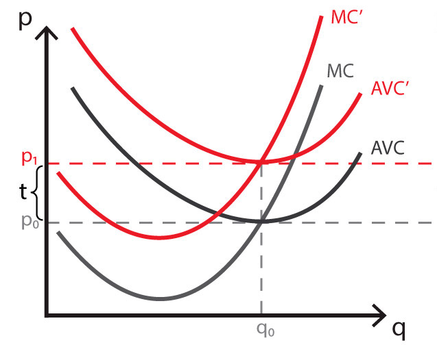 Fig. 4 Lump-Sum Tax Diagram