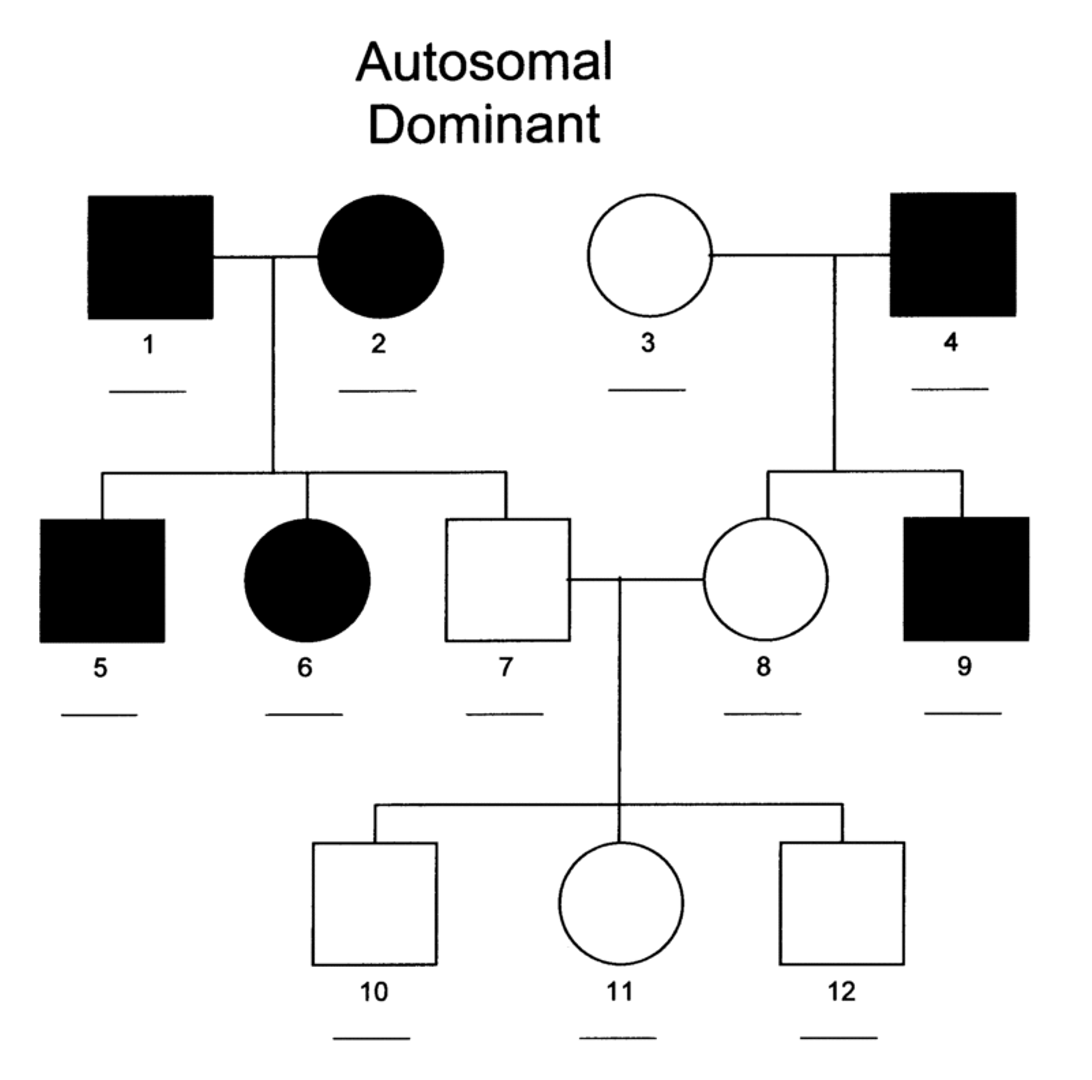 <p>Appears in both sexes with equal frequency</p><p>Does not skip generations</p><p>Both sexes transmit the trait to their offspring</p><p>Affected offspring must have an affected parent</p><p>When one parent is affected (hetero) and the other parent is unaffected, approx.. half of the offspring will be affected</p><p>Unaffected parents do not transmit trait</p><p></p>