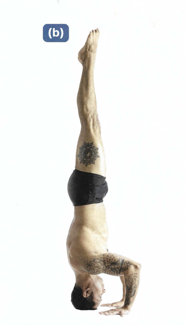 <p>Niralamba Sirsasana</p>