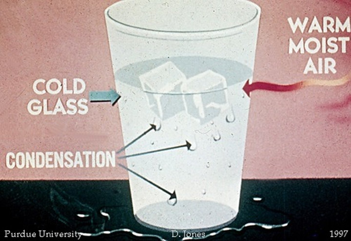 <p>The temperature to which air has to cool , in order for condensation to take place, air becomes saturated, clouds, dew, fog forms</p>