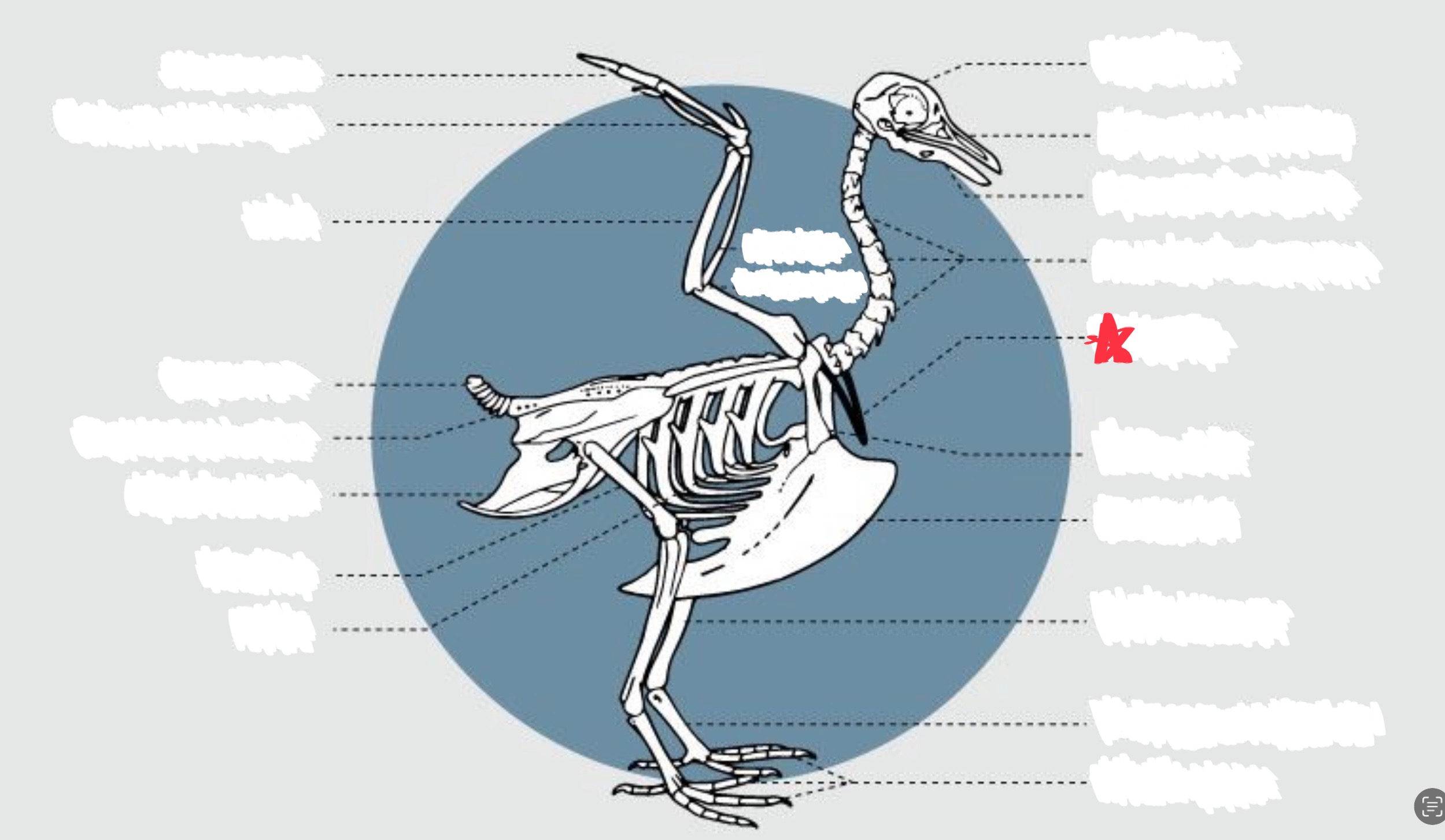 knowt flashcard image