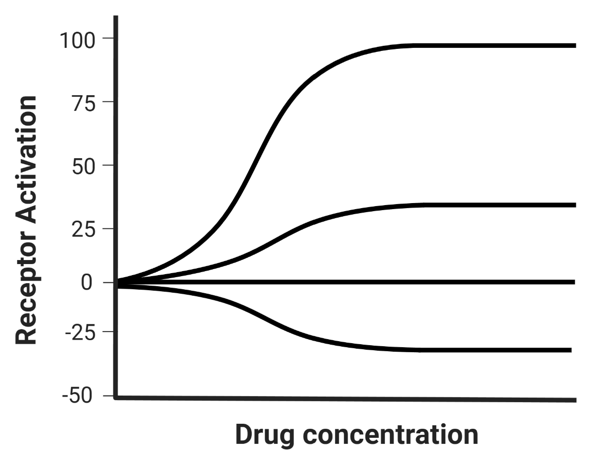 <p>List what receptors represent each line on the dose-response curve:</p>