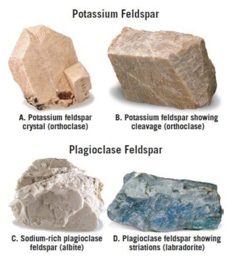 <p>pink or gray, generally opaque, MOST COMMON MINERAL IN CRUST</p>