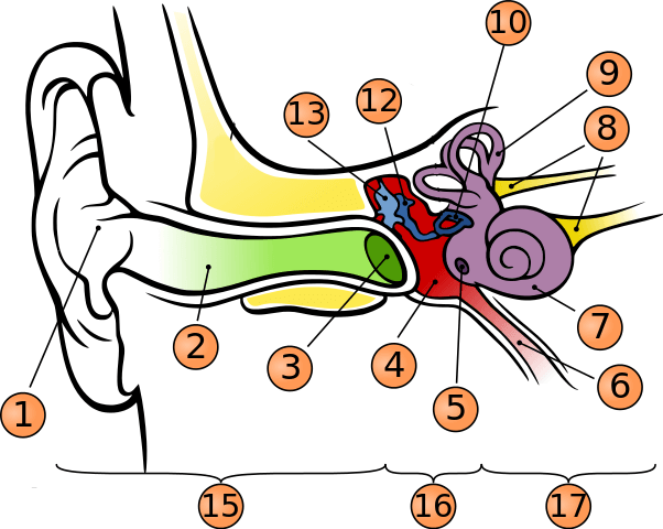 <p>what is number 13?</p>