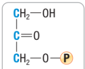 <p>What molecule is this?</p>