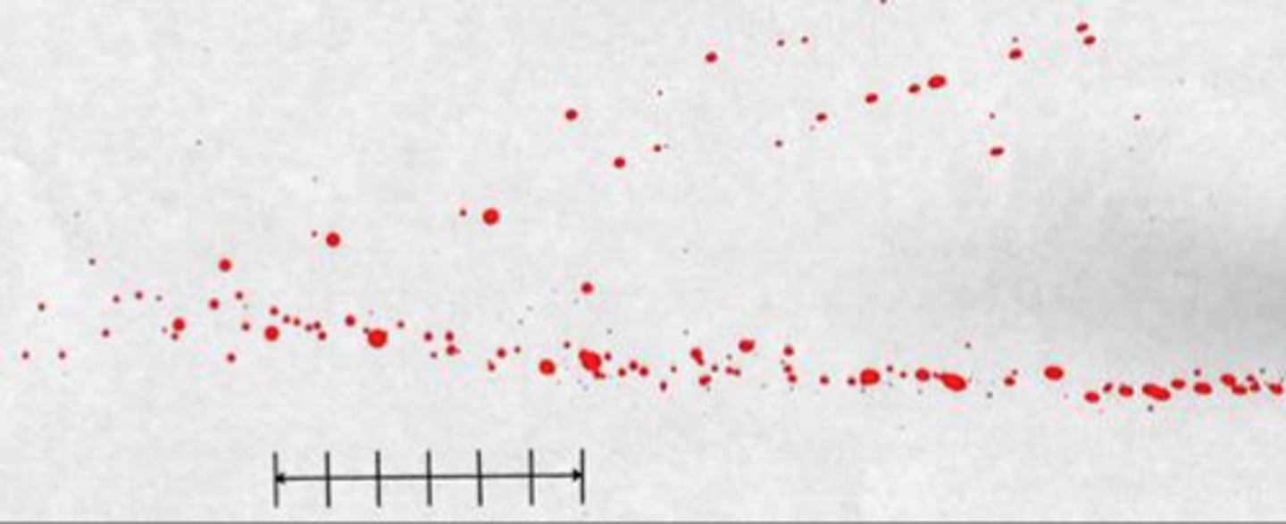 <p>blood projected onto a surface as a result of being flung from an object in motion</p>