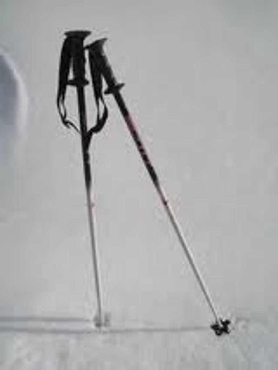 <p>ski pole</p>
