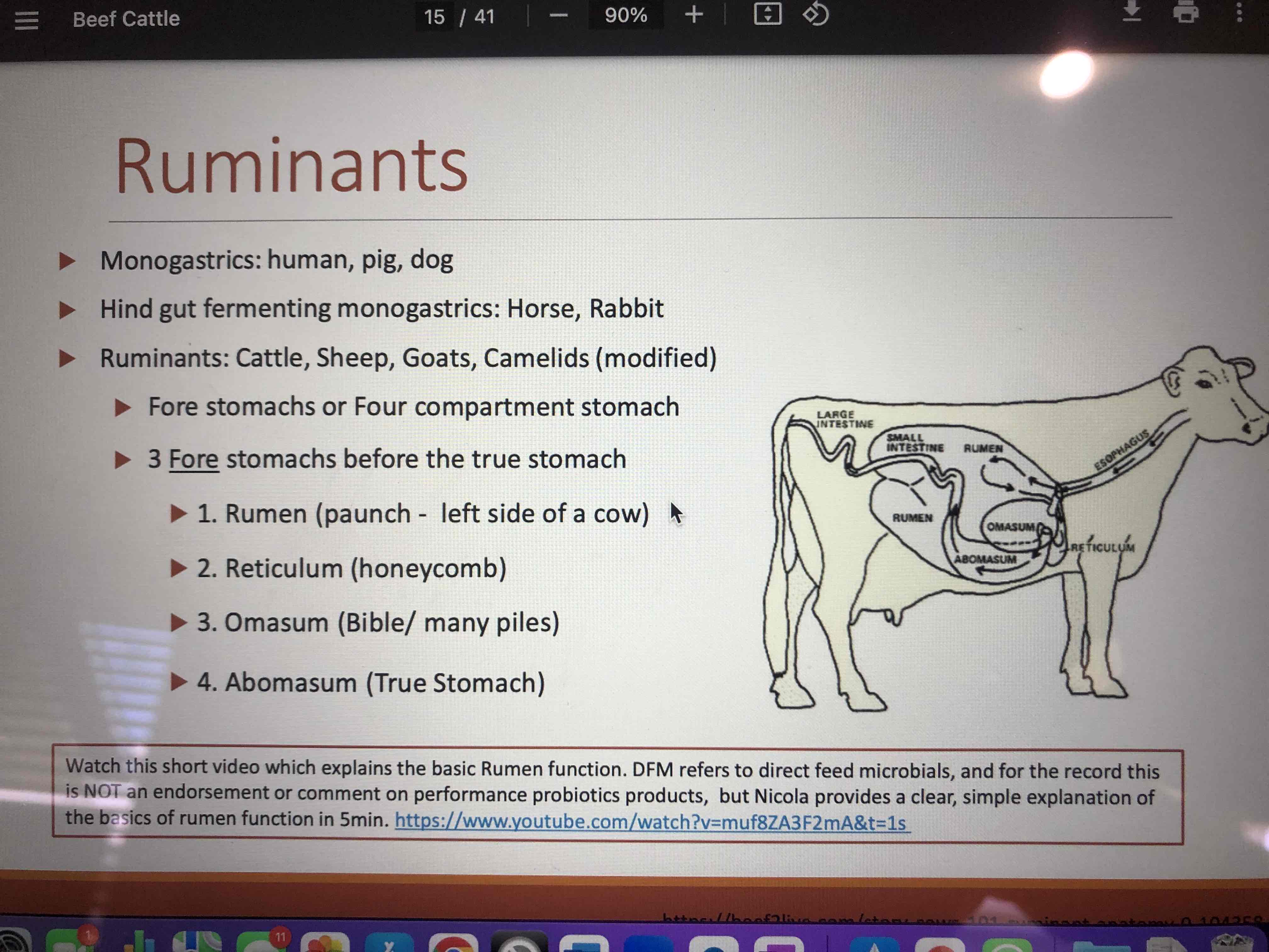 <p>-Rumen</p><p>-Reticulum </p><p>-Omasum</p><p>-Abomasum</p>
