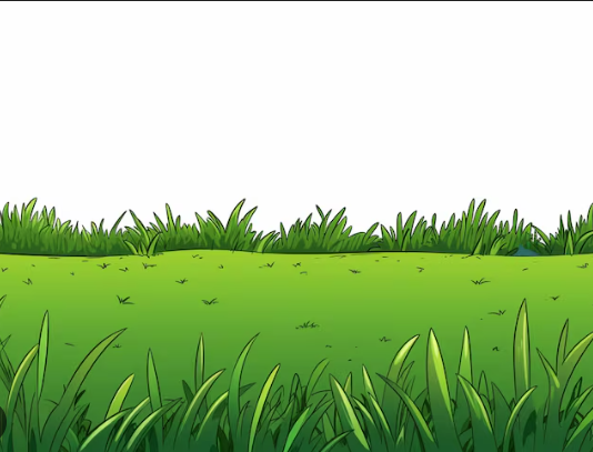 <p>lawn (or grass; syn: pelouse)</p>
