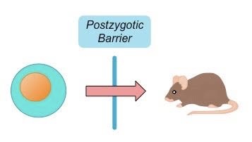 <p>What are the three types of postzygotic barriers? </p>