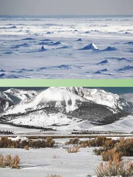 <p><span>Arid regions where precipitation falls sparingly (snow). Note that permafrost is not a factor. Vegetation is primarily xerophytic (adapted to little water) and sclerophyllous (hard, leathery, evergreen foliage to prevent moisture loss) shrubs with scattered, low trees.</span></p>