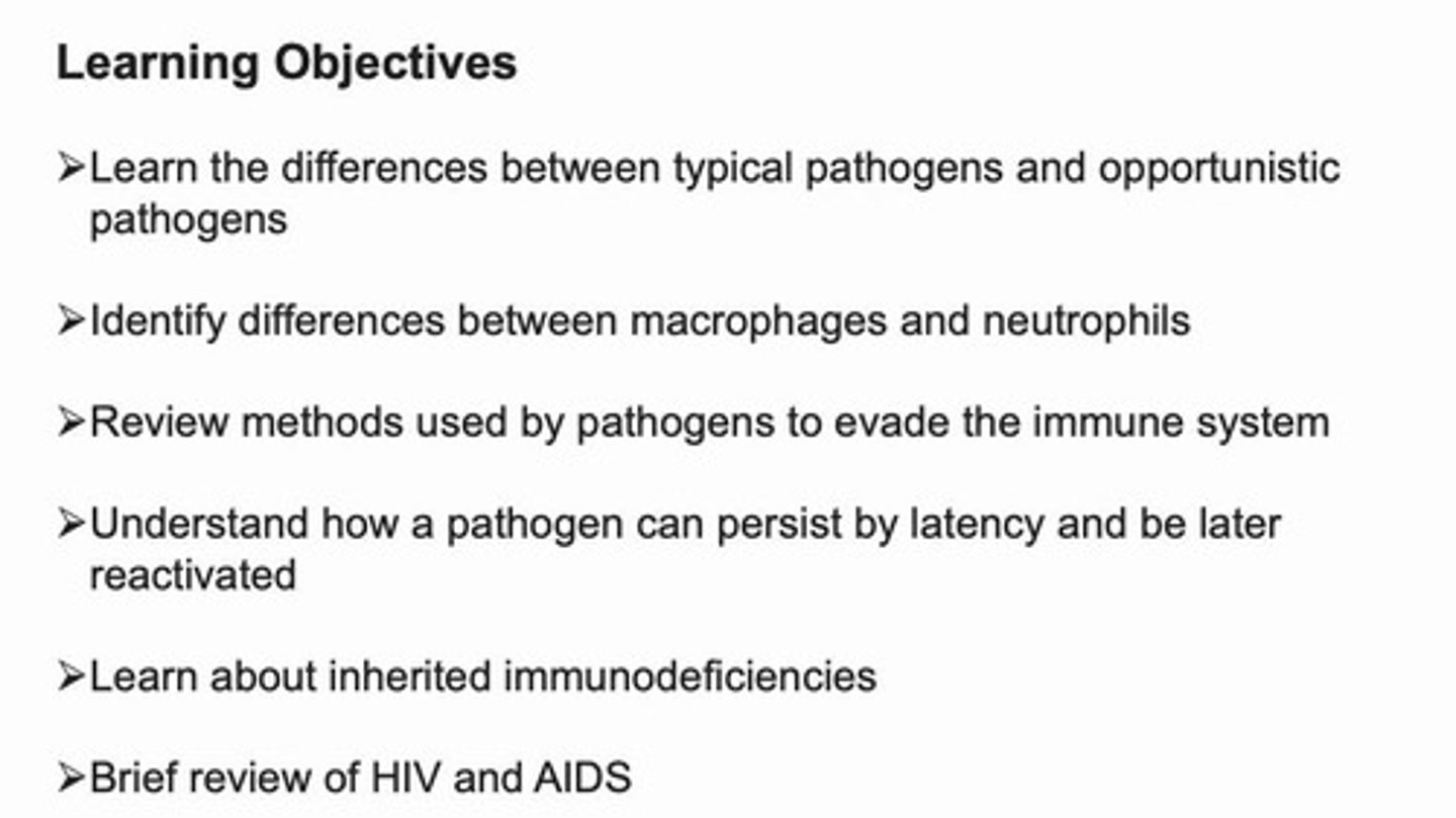 <p>An agent that can cause disease in healthy individuals.</p>