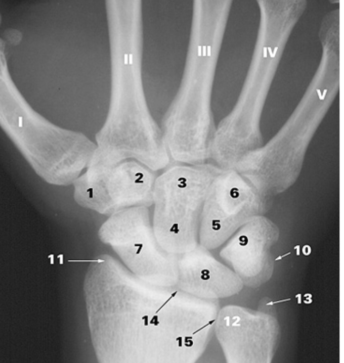 <p>what is number 10</p>