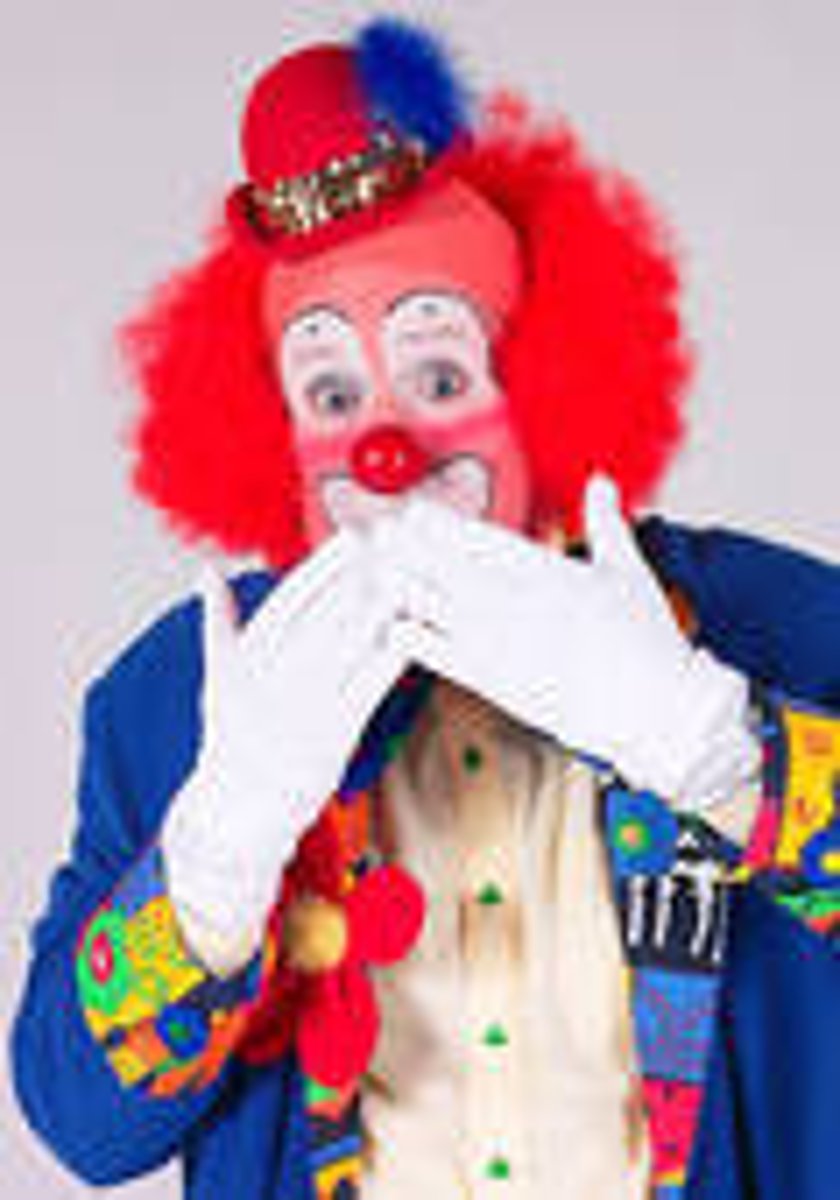 <p>a children's party planner</p>