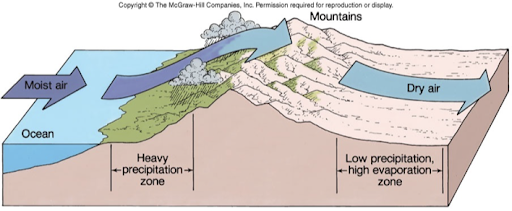 <ul><li><p>Moist ocean air, with high water vapor content, blows towards land</p></li><li><p>Land has a nearshore mountain range that forces the moist air upwards </p></li><li><p>The upper atmosphere is cold and will condensate the water vapor into rain </p><ul><li><p>Ocean side of the mountain chain gets a lot of rain, while the landward side of mountain chain is dry </p></li></ul></li></ul>