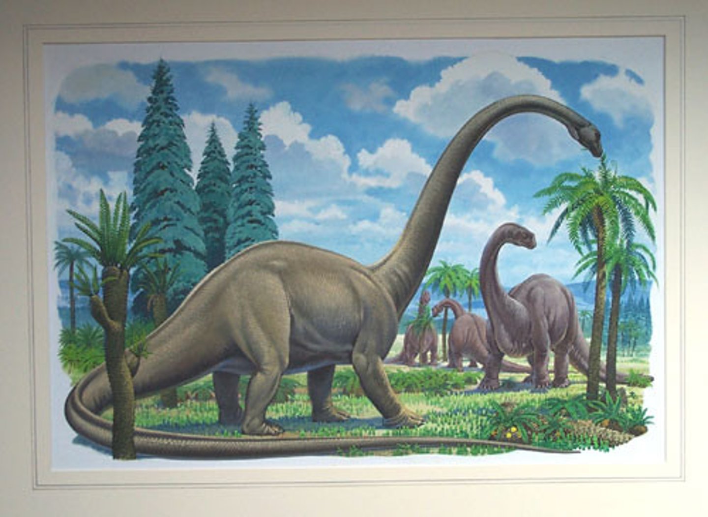 <p>Apatosaurus</p>