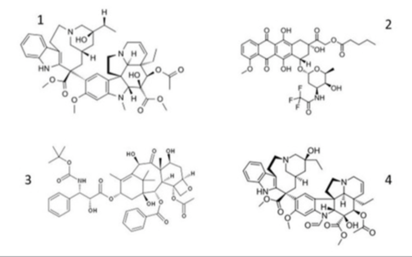<p>Which one of these is not a mitosis inhibitor?</p>