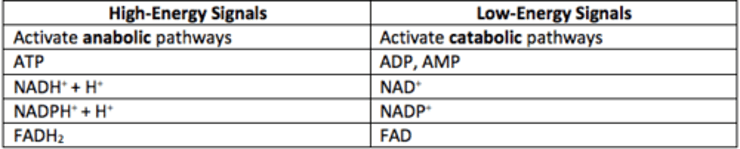 <p>ADP, AMP, NAD+, NADP+, FAD</p>