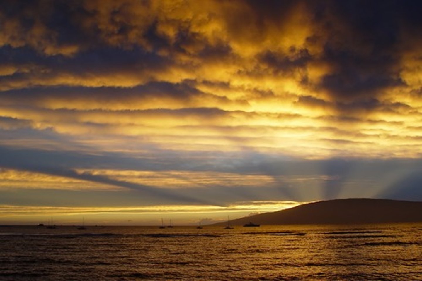 <p>mild and pleasant weather</p>