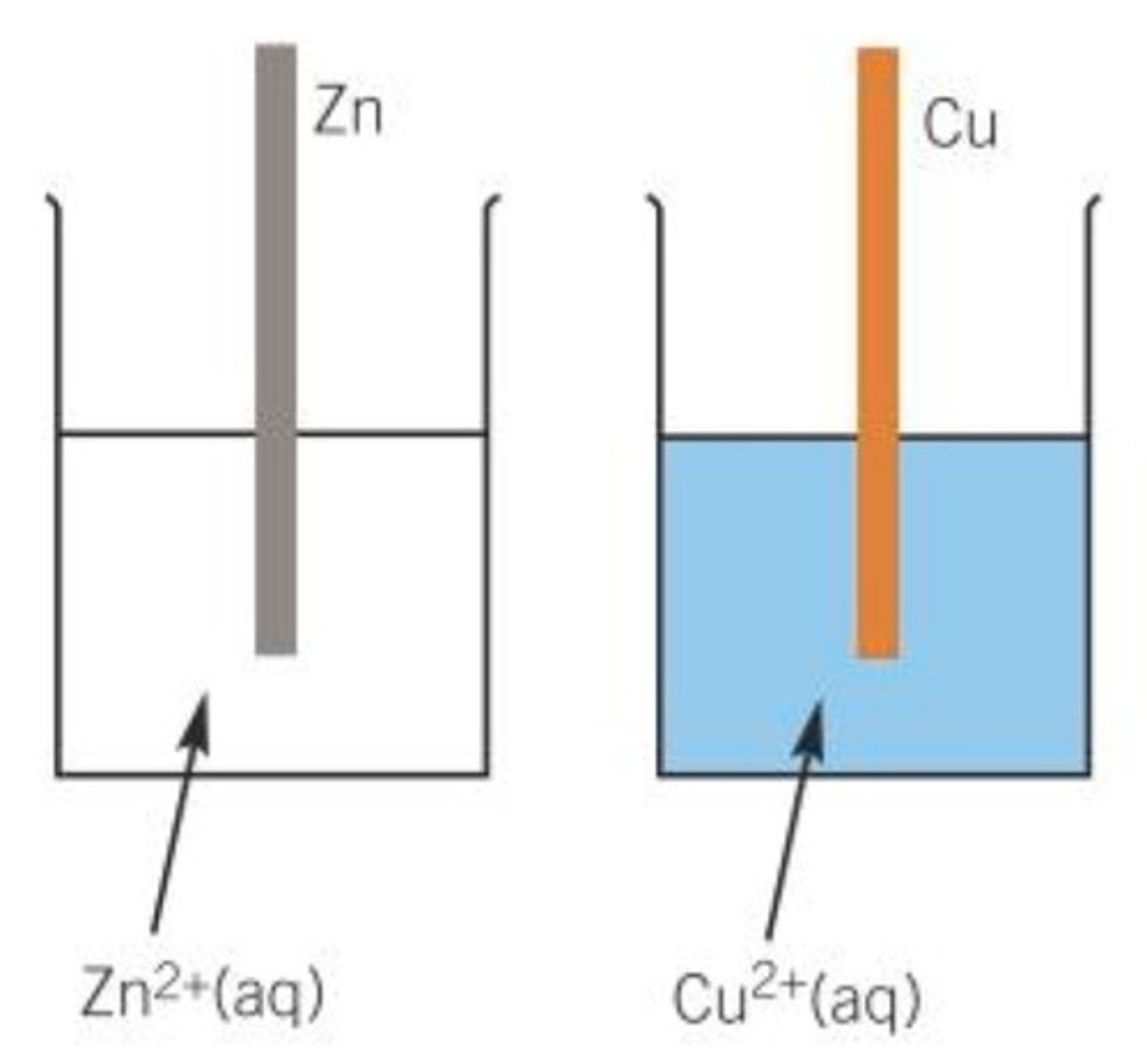 <p>-Metal rod dipped into its solution of its aqueous metal ion.</p><p>Represented using a vertical line as a phase boundary between aqueous solution and the metal, eg:</p><p>Zn2+ (aq) l Zn (s)</p><p>Zn2+ (s) + 2e- &gt; Zn (s), forward reaction is reduction, reverse reaction is oxidation</p>